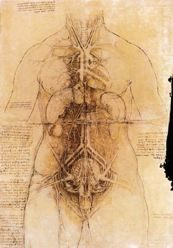 LEONARDO da Vinci The organs of the woman china oil painting image